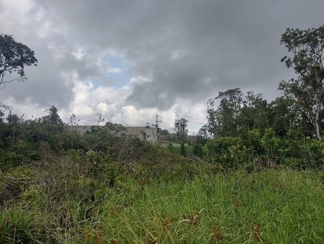 MATINHOS | Terrenos | Matinhos - Terreno no bal Pereque